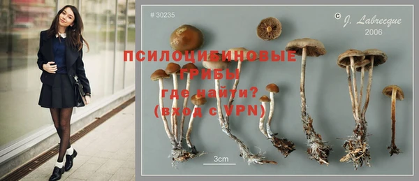 спайс Алексин