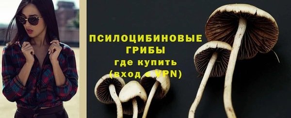 спайс Алексин