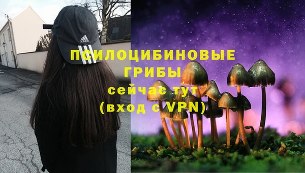 a pvp Алексеевка