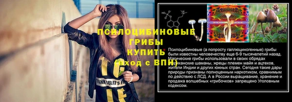 a pvp Алексеевка