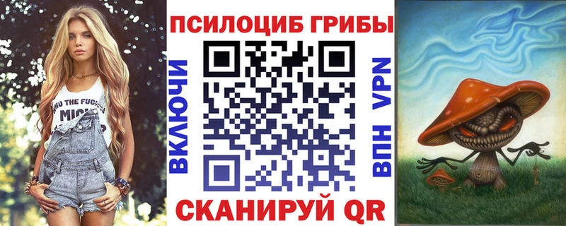 Псилоцибиновые грибы GOLDEN TEACHER  что такое наркотик  Закаменск 
