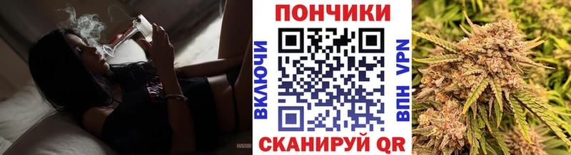 где можно купить наркотик  Закаменск  блэк спрут ссылка  Конопля семена 